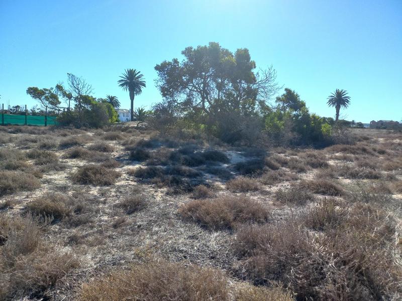 0 Bedroom Property for Sale in Shelley Point Western Cape